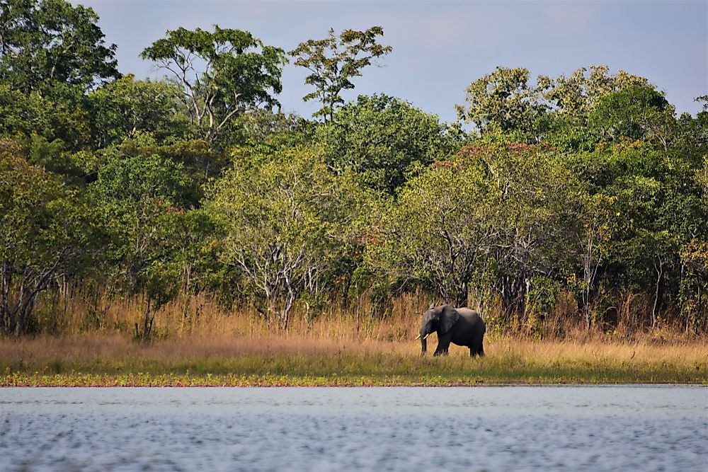 Dambo – Shallow, Complex Wetlands