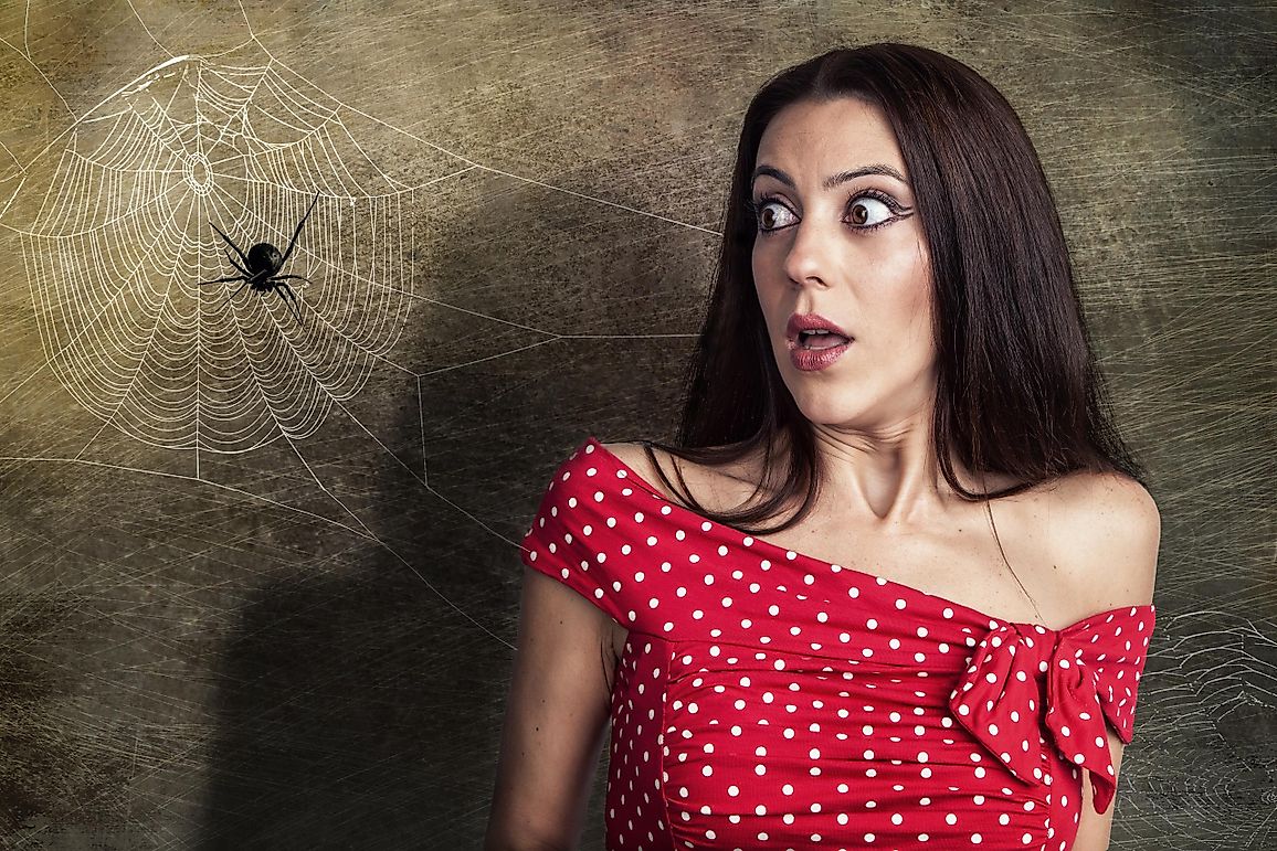 What Is The Most Common Phobia In The World?