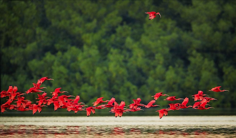 What Are The Major Natural Resources Of Trinidad And Tobago?
