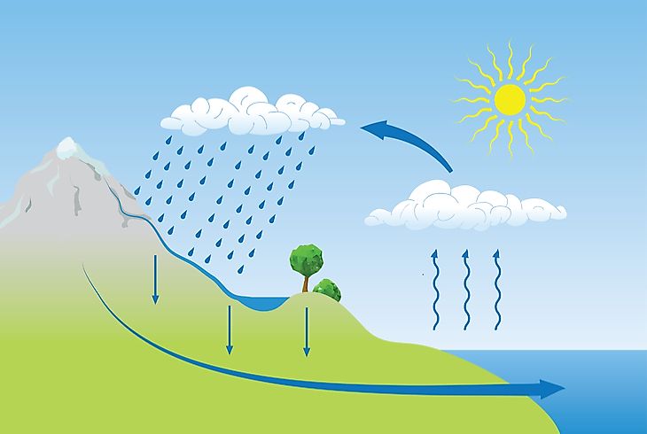 The Water Cycle