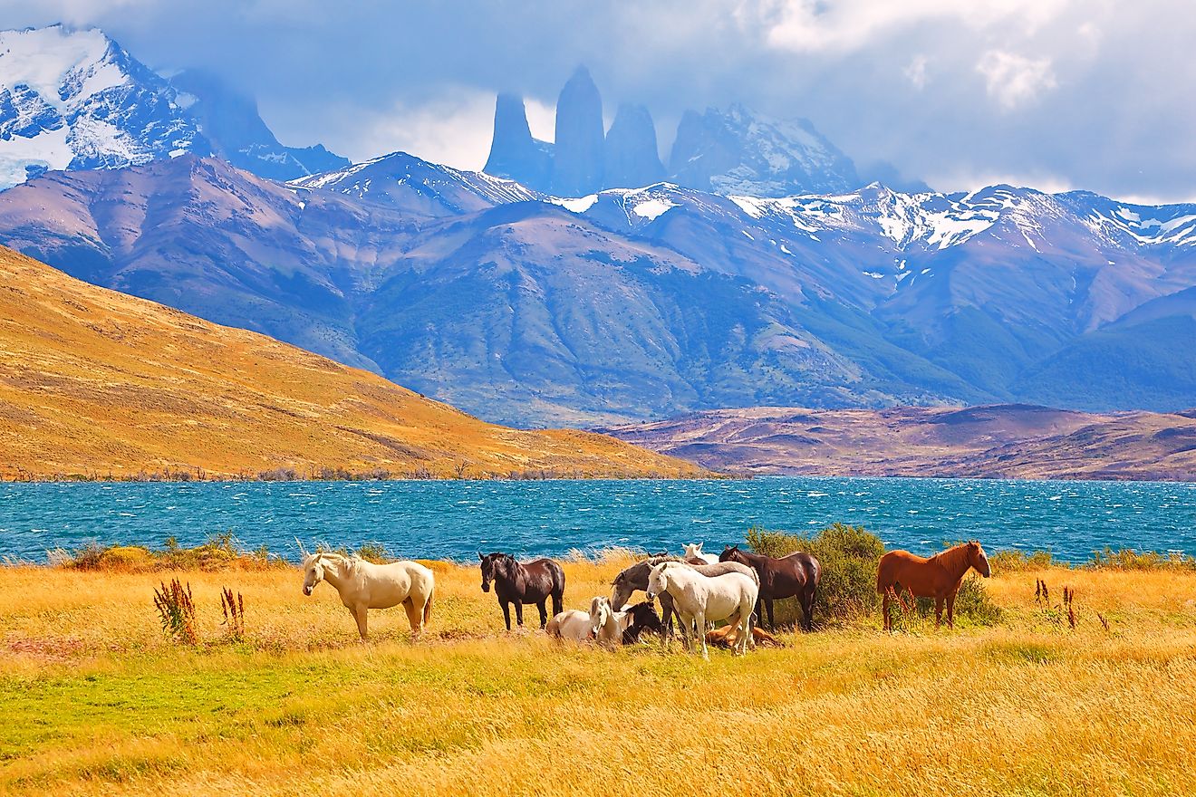 Torres Del Paine National Park WorldAtlas