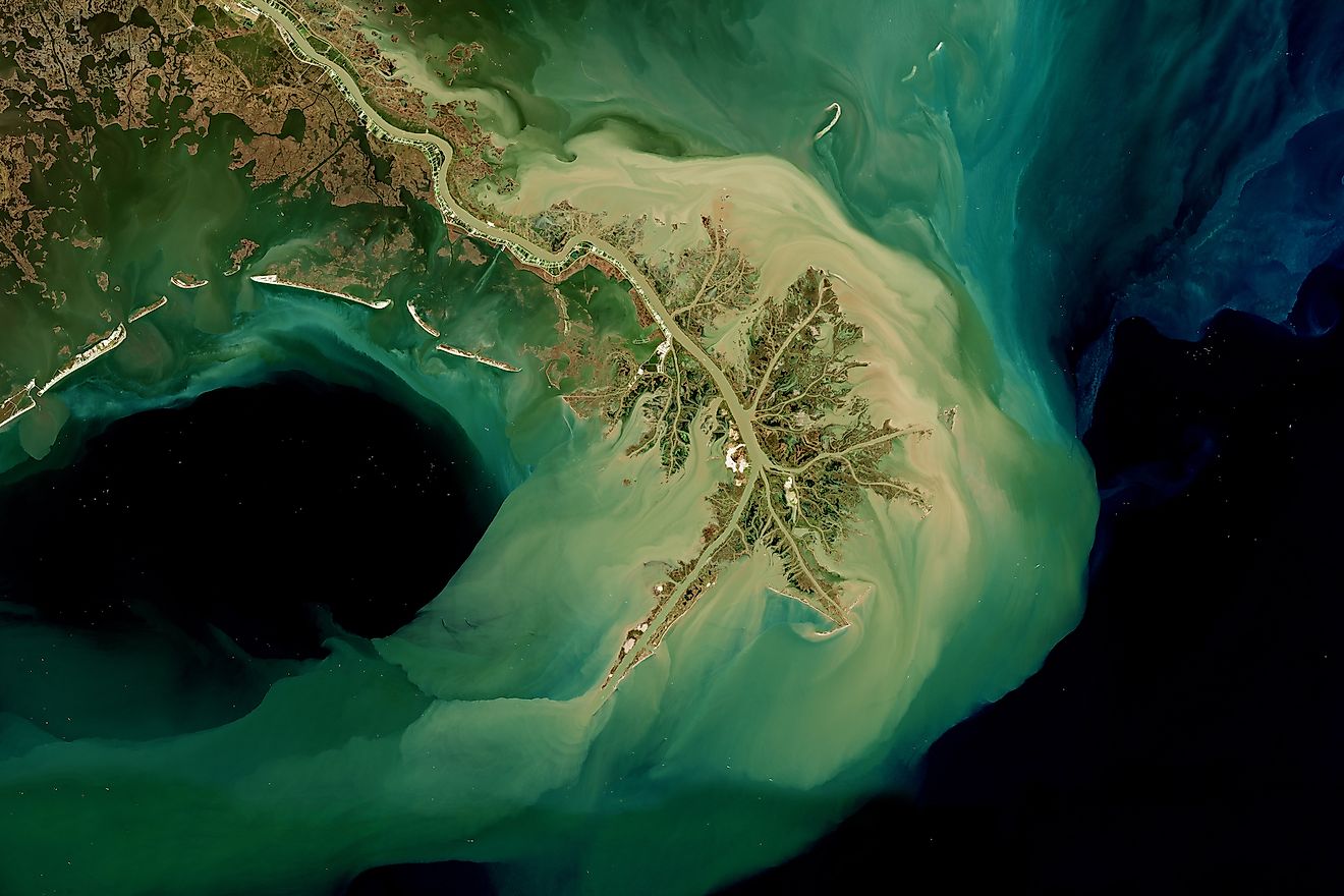 Mississippi River Delta Map