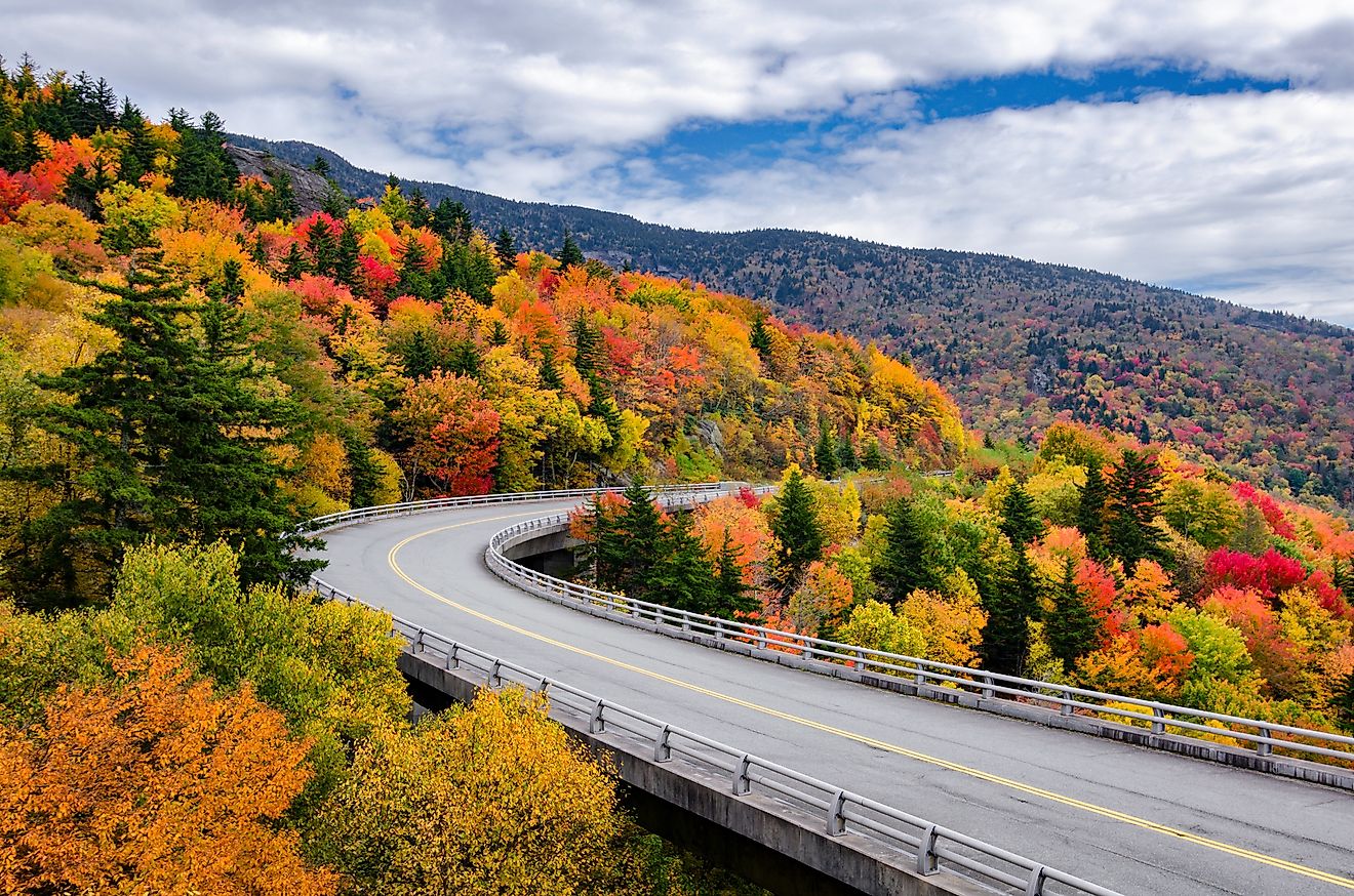 7 Most Scenic Drives in The Southern United States