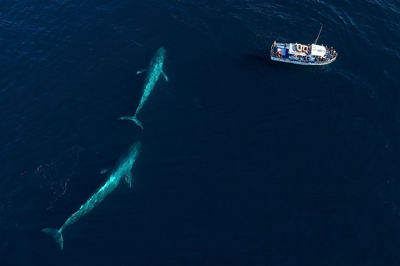 The Largest Ocean On Earth