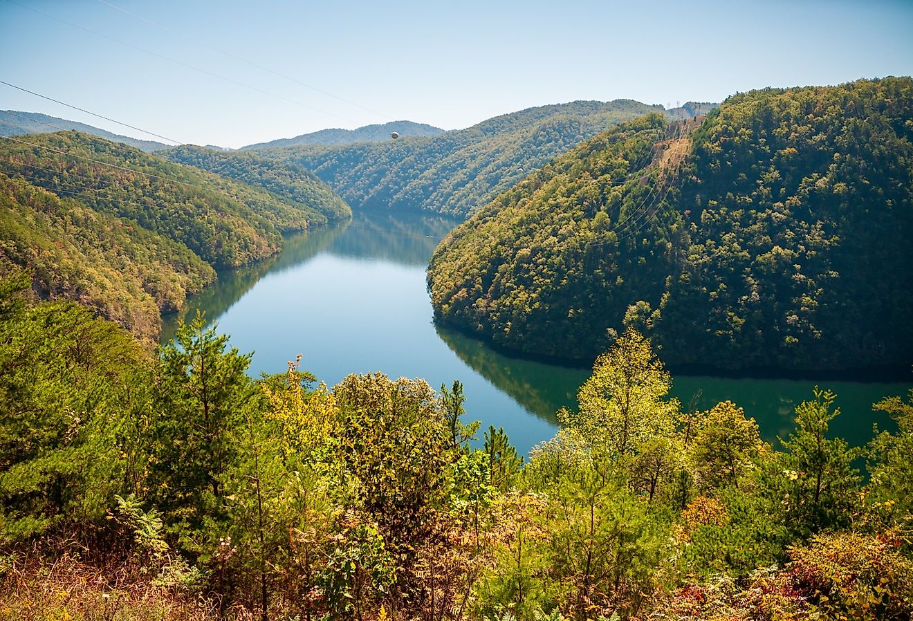 The Difference Between A National Park And A National Forest