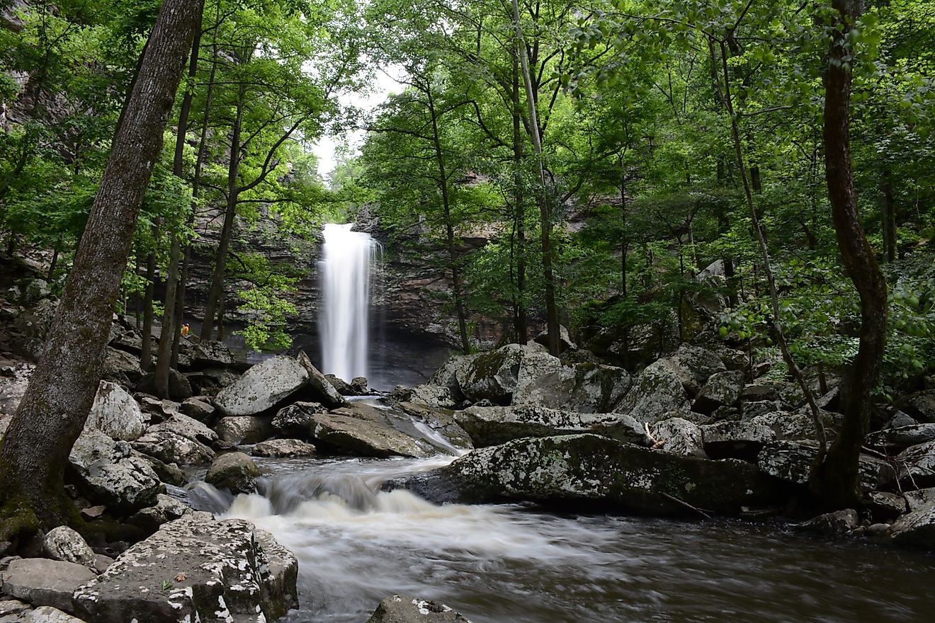 Cedar Falls, Arkansas - Vimarsana News