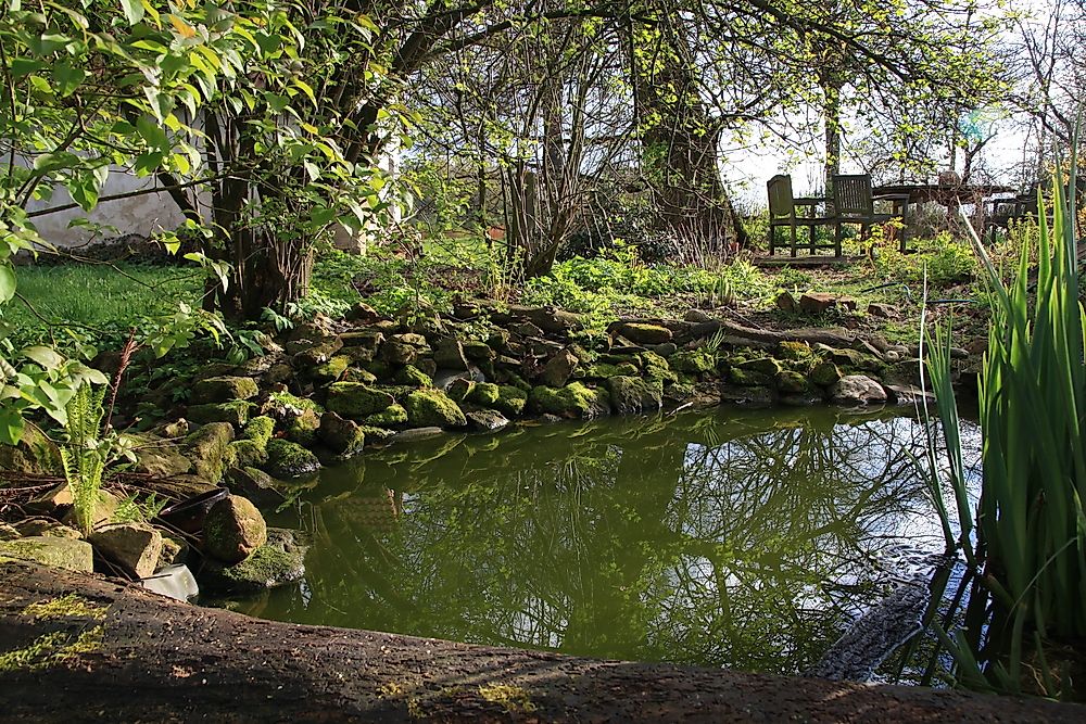 What Are The Differences Between A Lake And A Pond? WorldAtlas