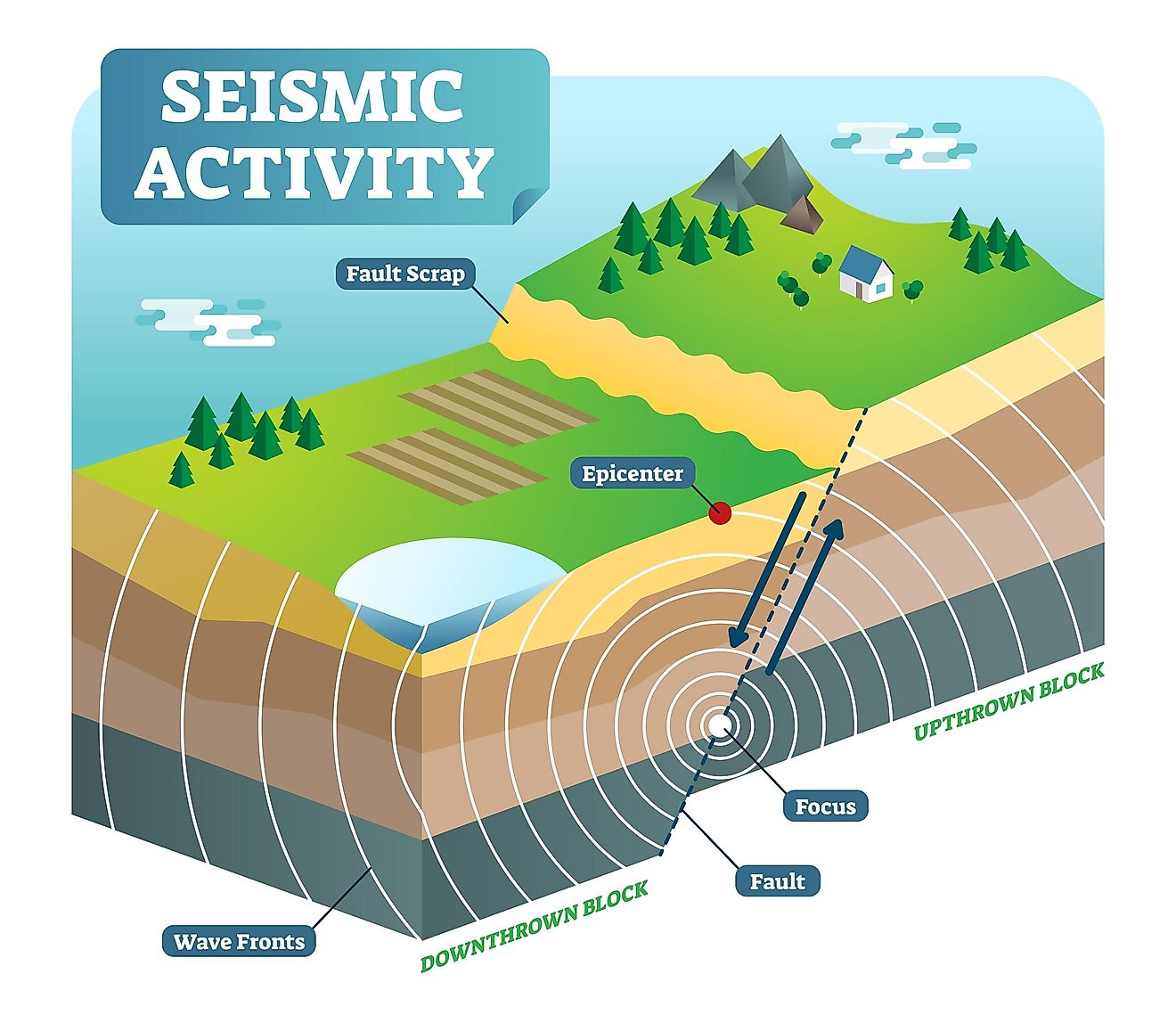 Seismic waves diagram