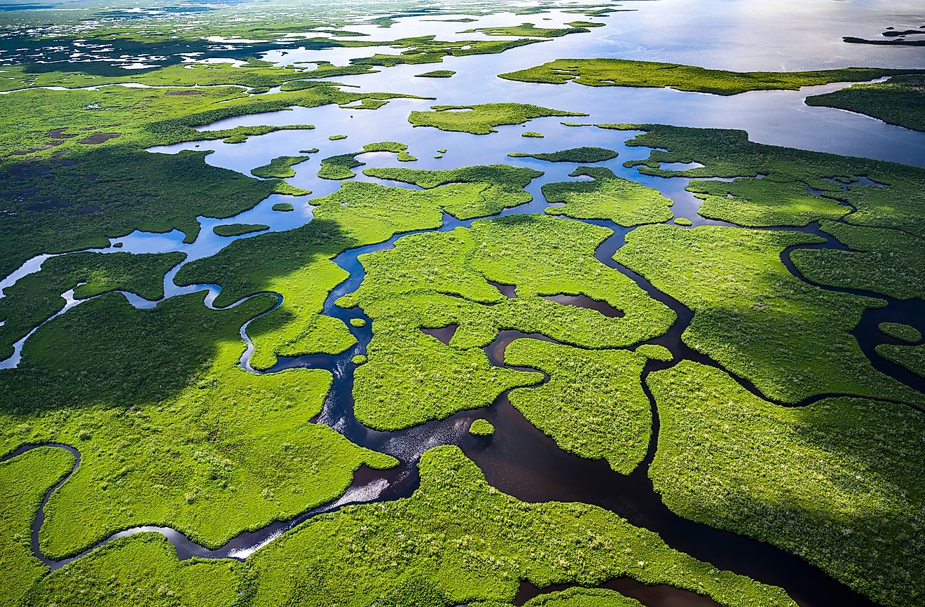 10 Of The Best Ways To Experience The Florida Everglades