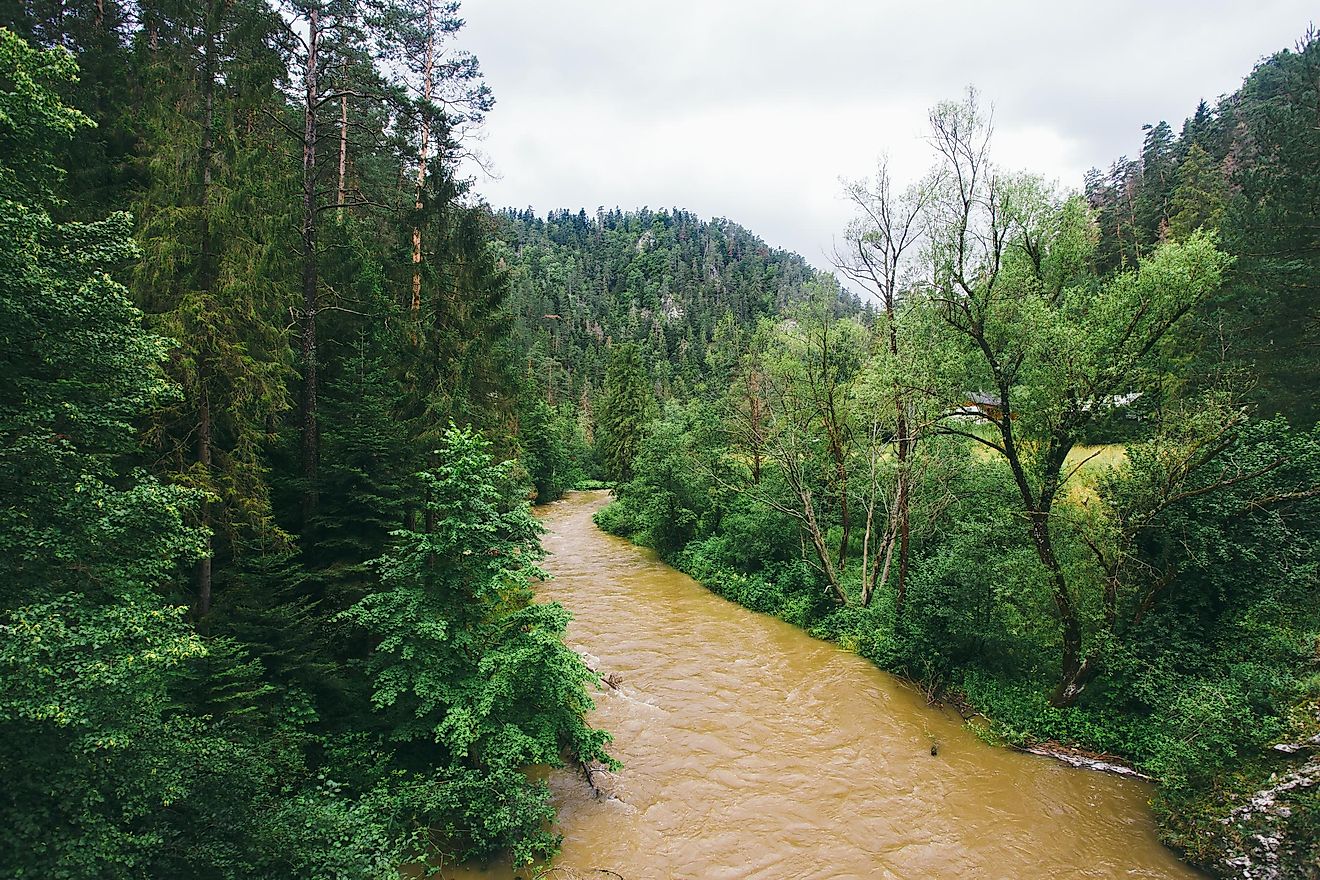 Photo of Hornet River – Atlas sveta