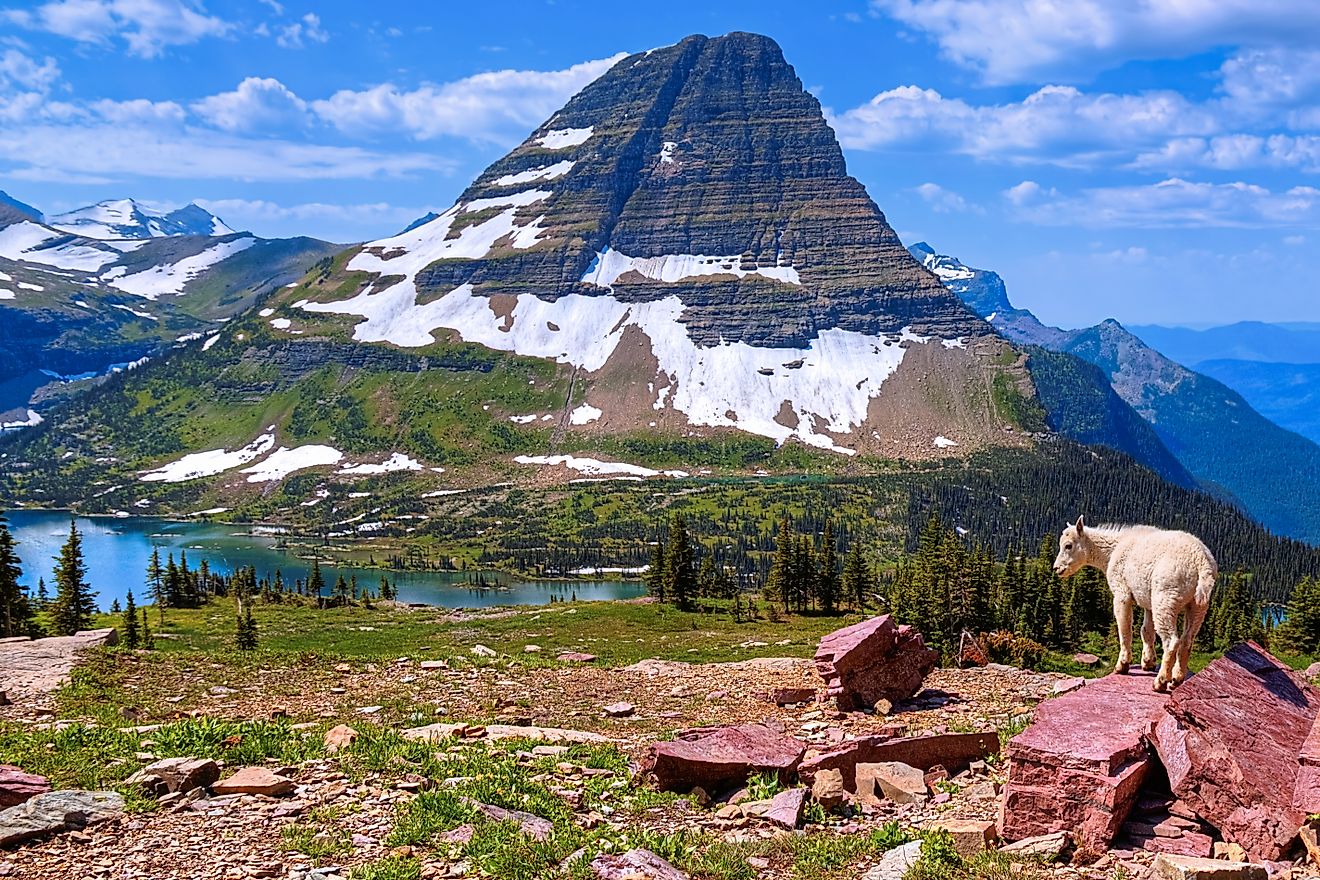 5 National & State Parks In Montana You Have To Visit