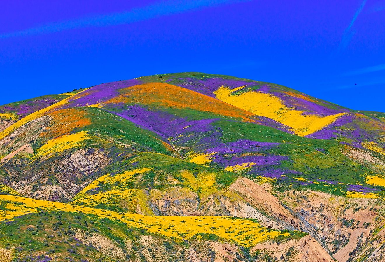 When Is the Best Time To Visit California? - World Atlas