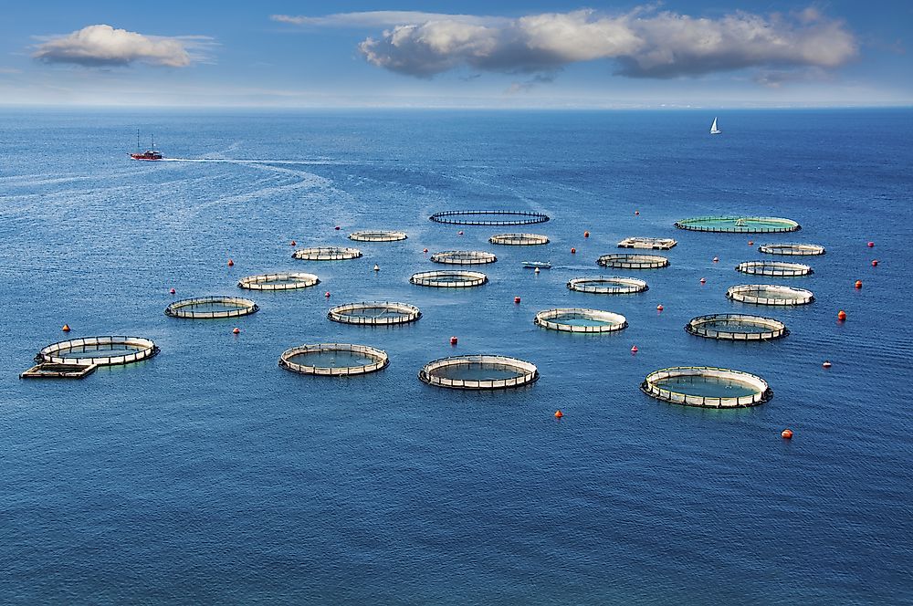 What is the Environmental Impact of Fishing? WorldAtlas