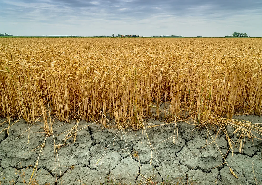 different types of droughts essay