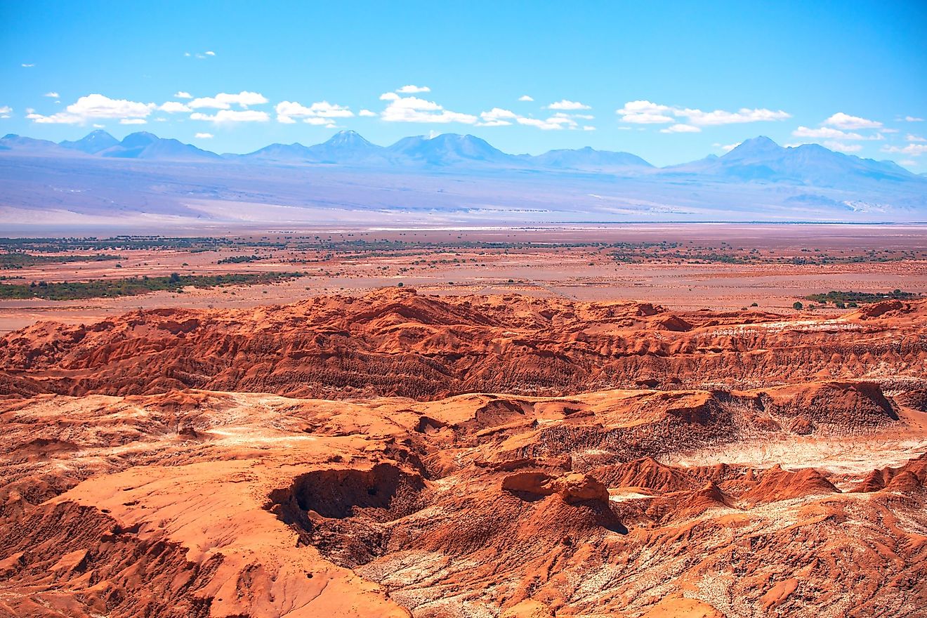 Desert top