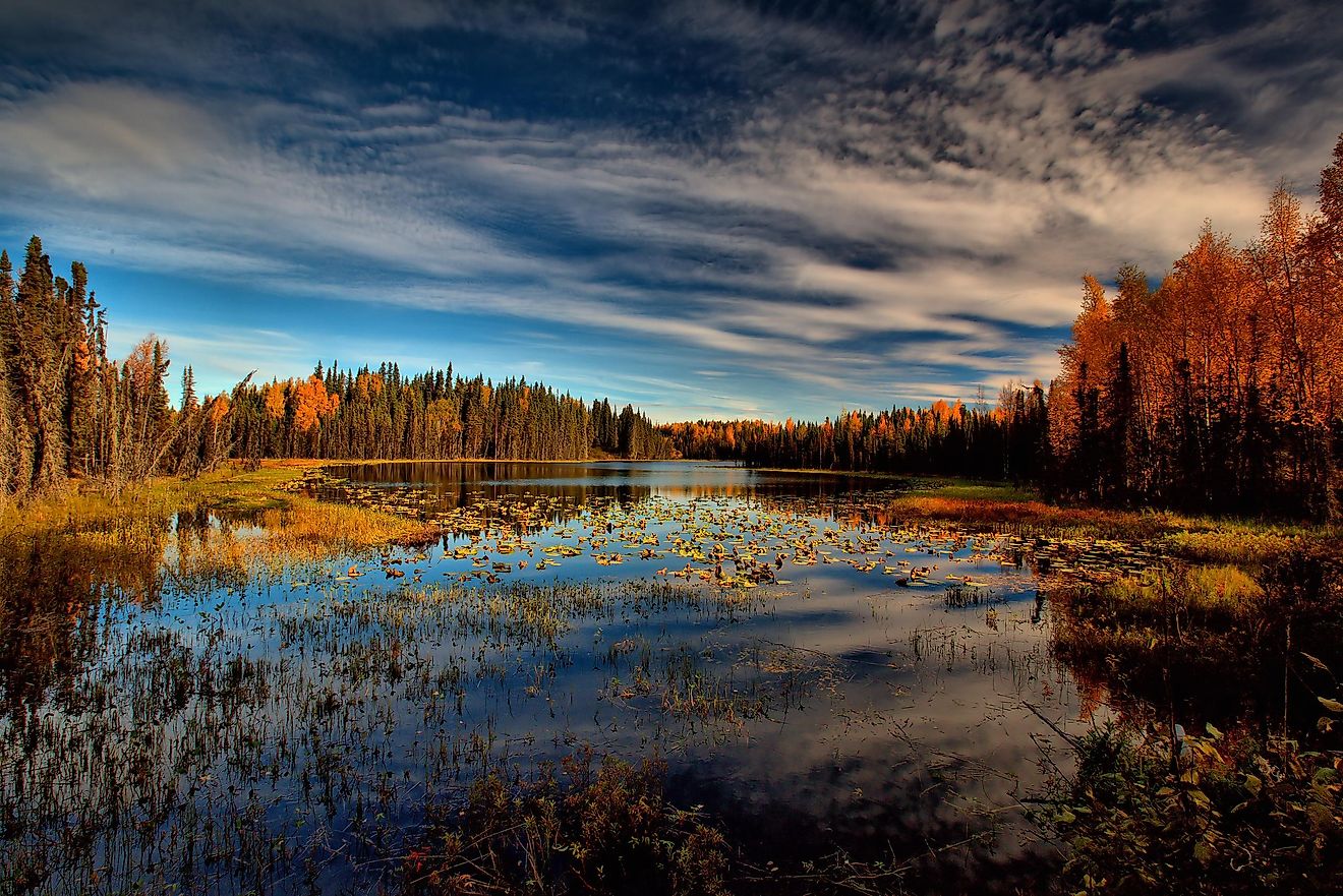 Kenai Peninsula, Alaska - WorldAtlas