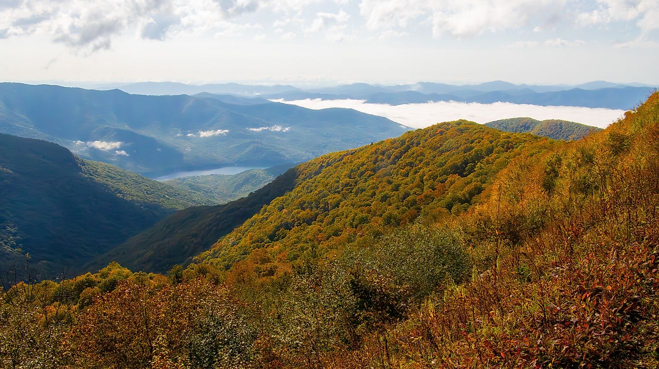 6 Most Scenic Drives in Georgia