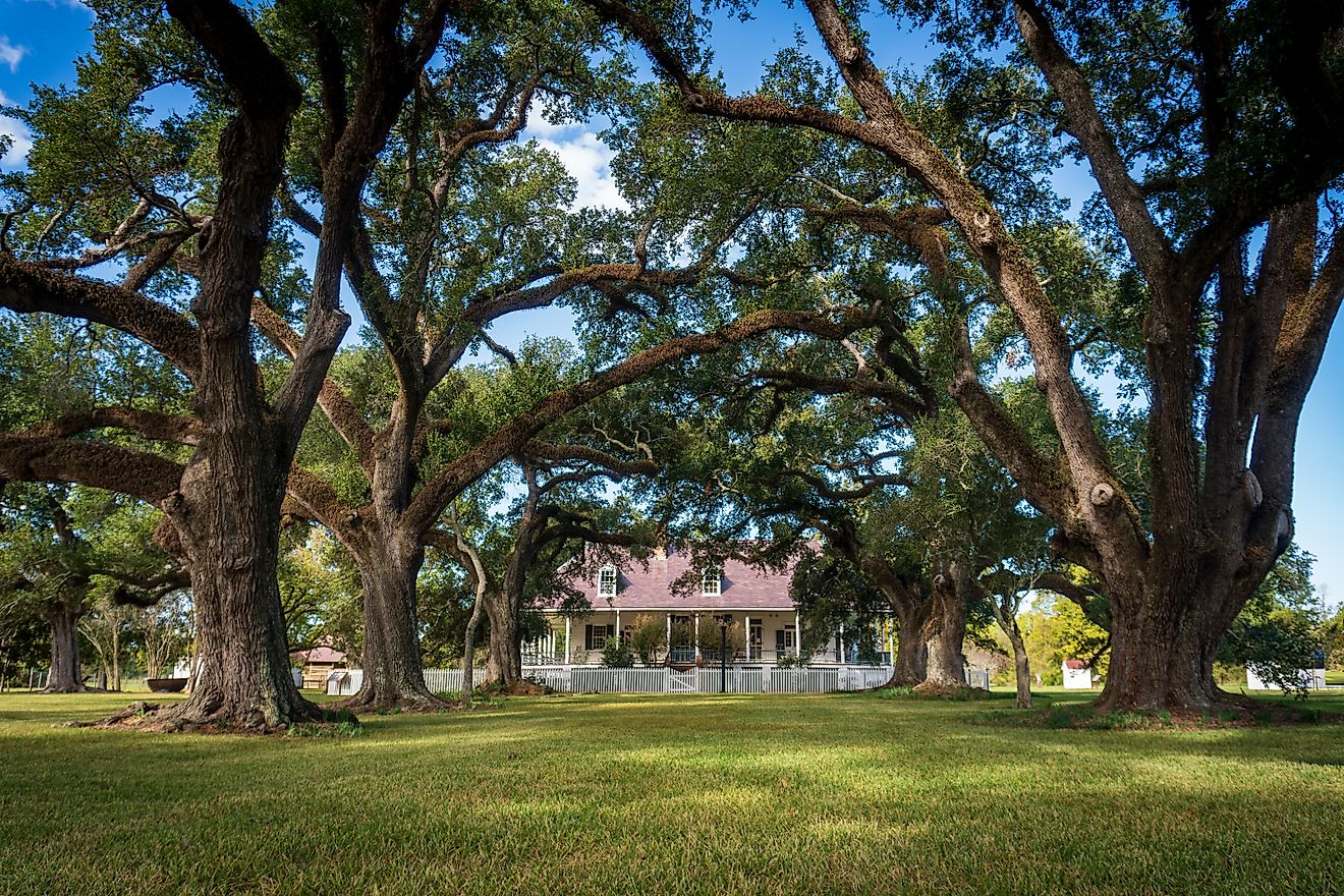 8 Small Towns In Louisiana To Visit For A Weekend Getaway