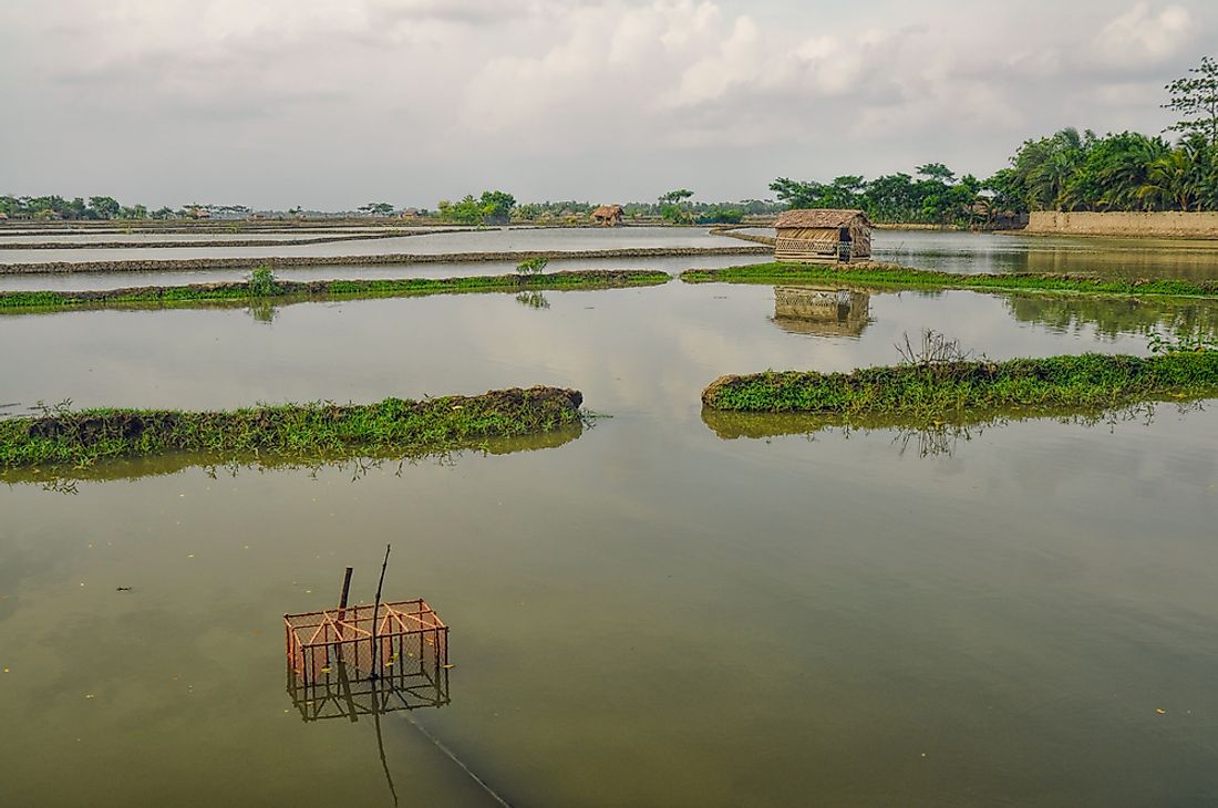 10 Countries That Could Disappear With Global Warming - WorldAtlas