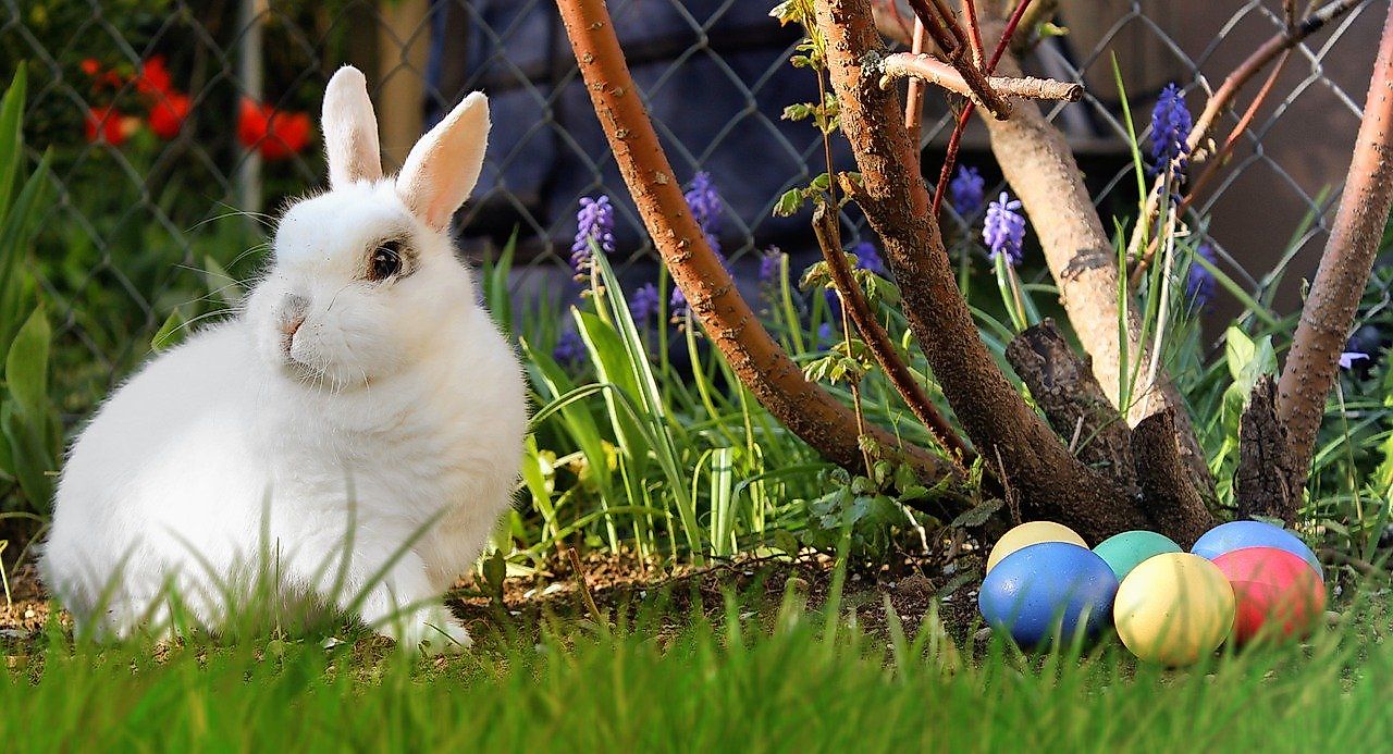 10 Different Ways Easter Is Celebrated Around The World WorldAtlas