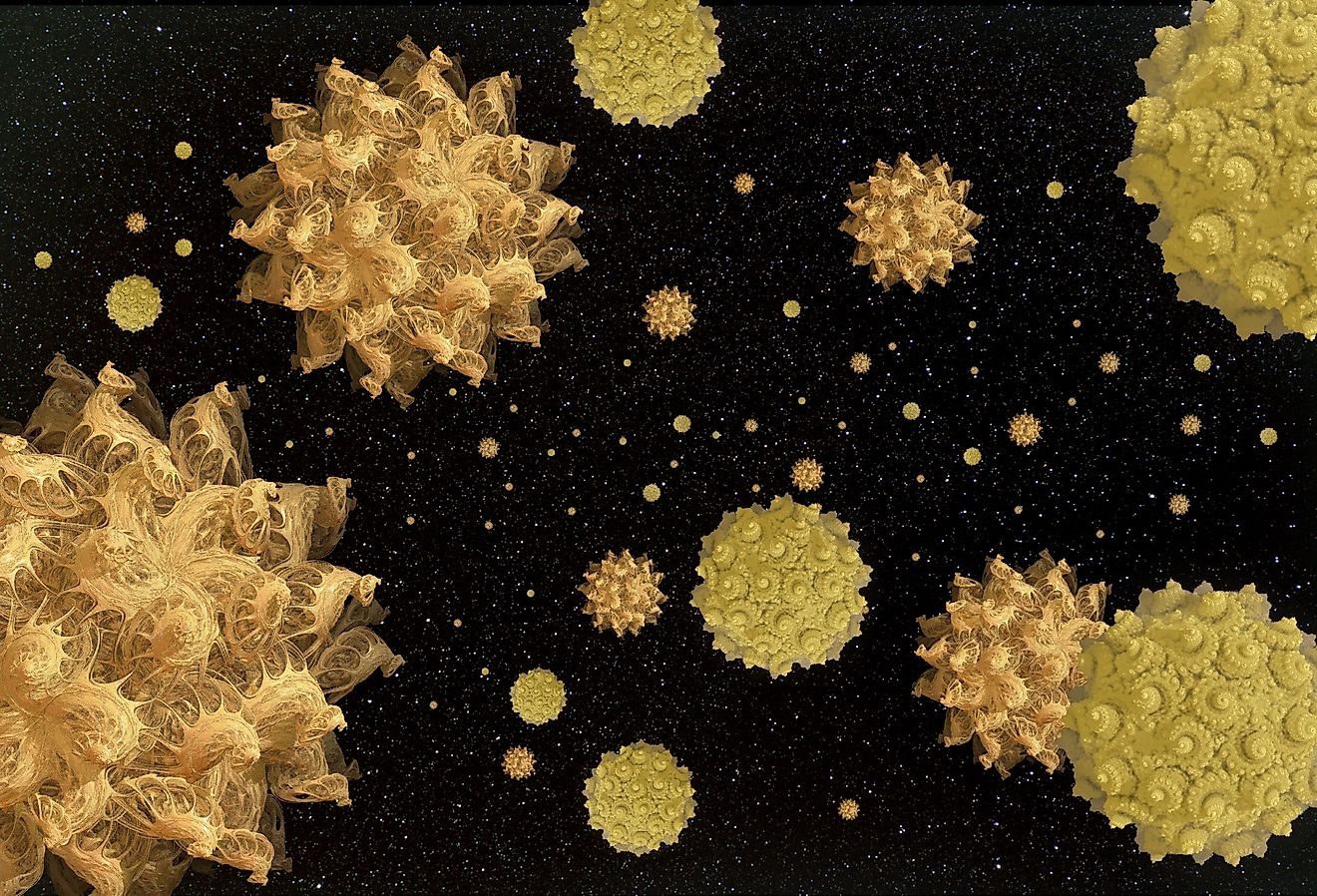 can-bacteria-survive-in-space-worldatlas