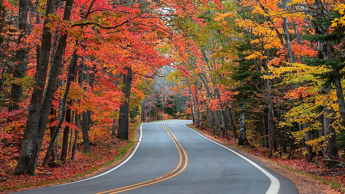 6 Most Beautiful Spots Along the Scenic Tunnel-Of-Trees Road in ...