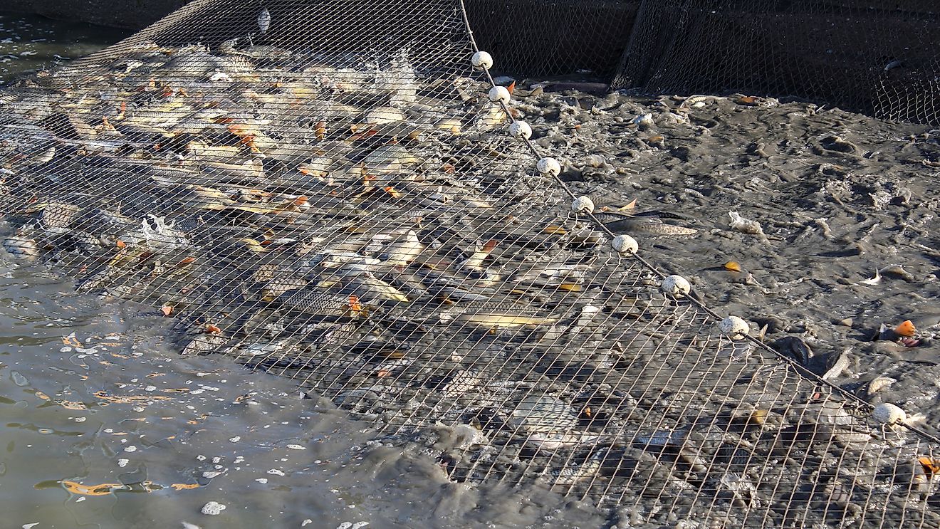 A Global Ban On Arguments For And Against WorldAtlas