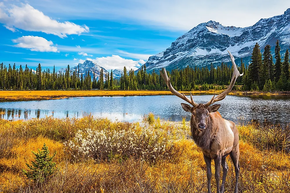 Best Places To Visit In Canada - WorldAtlas