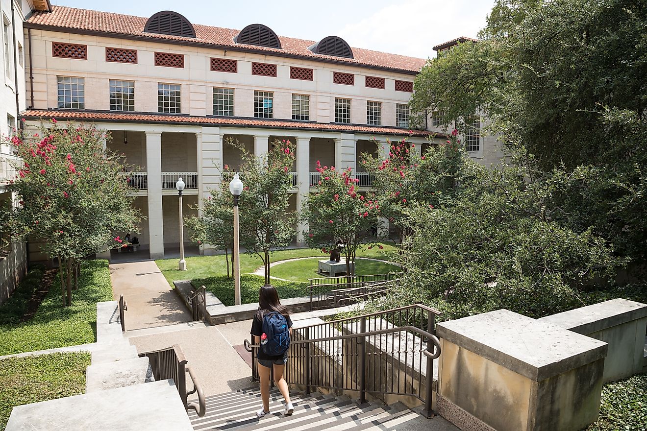The 10 Largest Universities In The United States