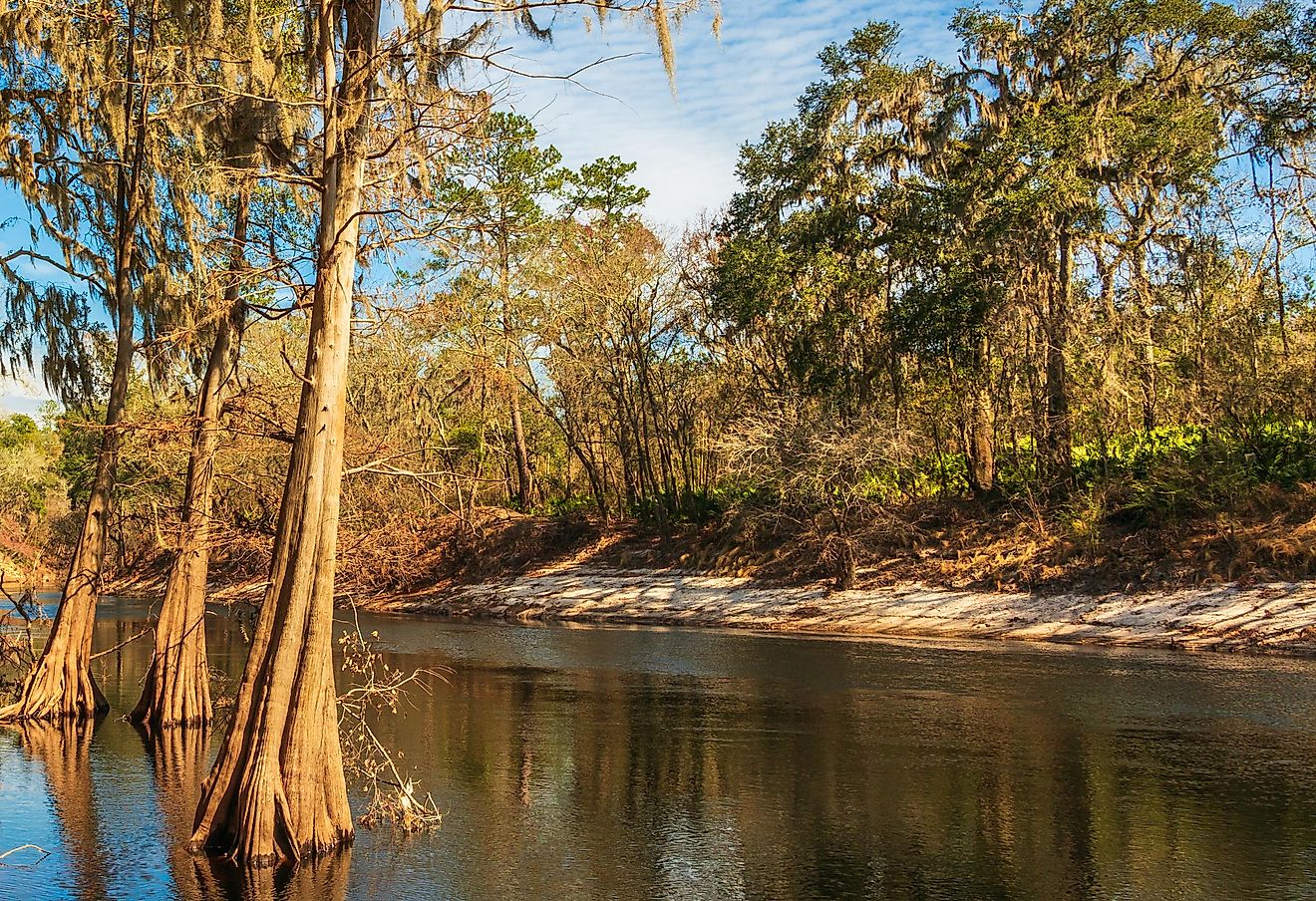 Alapaha River WorldAtlas