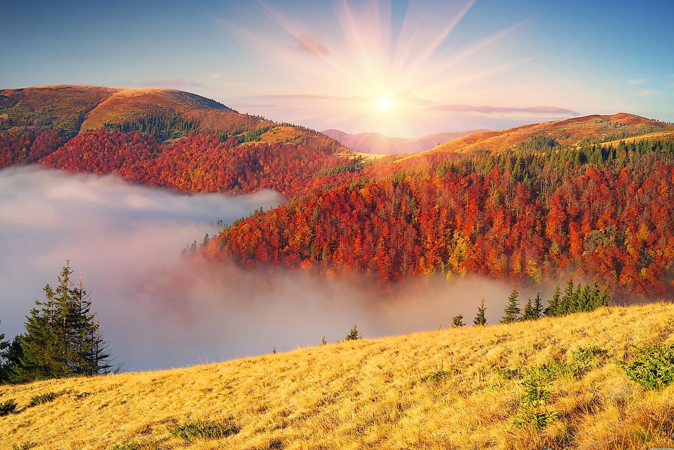 5 Hidden Gems in the Great Smoky Mountains National Park