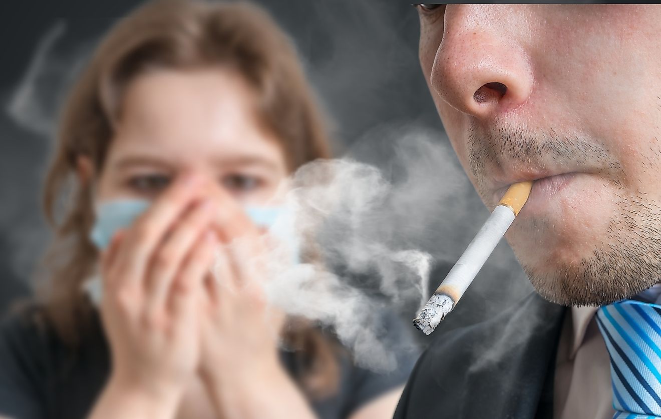 Cual es el mejor tabaco para fumar Cual es el mejor tabaco para fumar