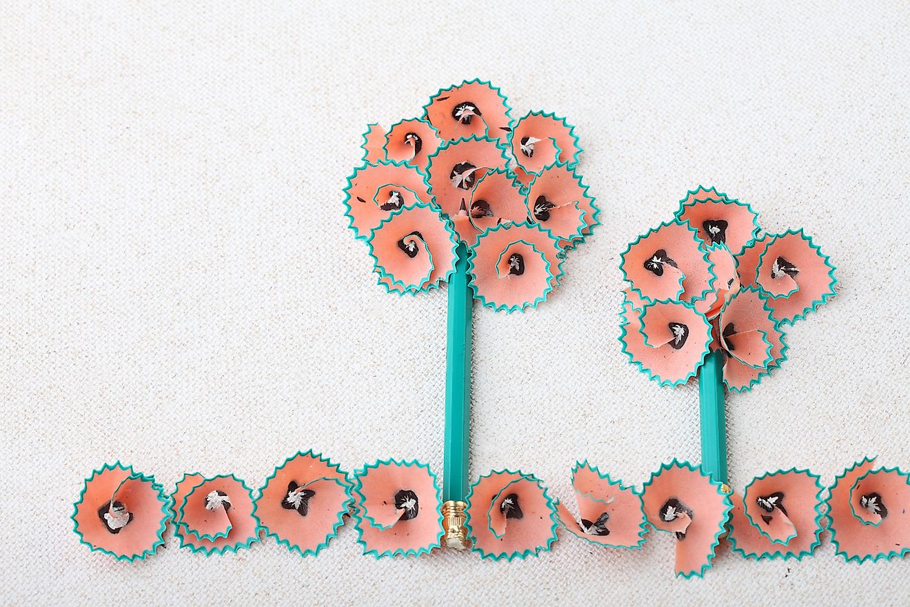 How Many Trees Are Cut Down Each Year To Make Pencils? WorldAtlas