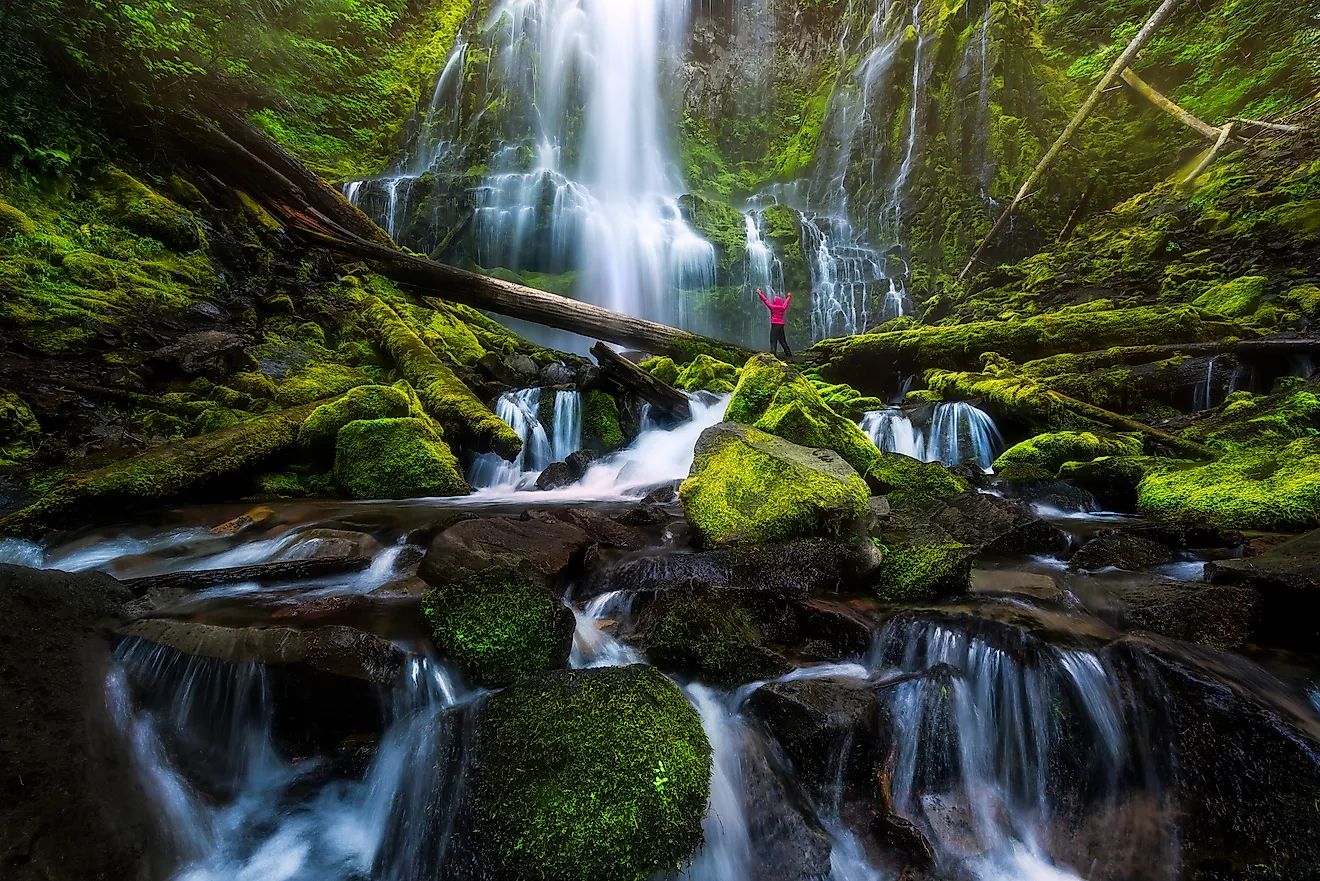 Pennsylvania’s Salt Springs: A Hidden Gem Waiting To Be Discovered