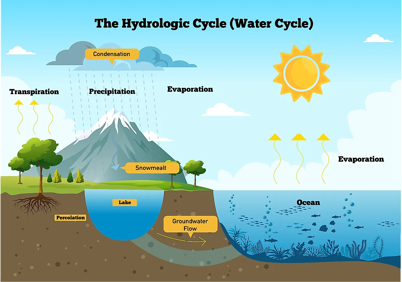 What Does The Word Water Cycle Mean