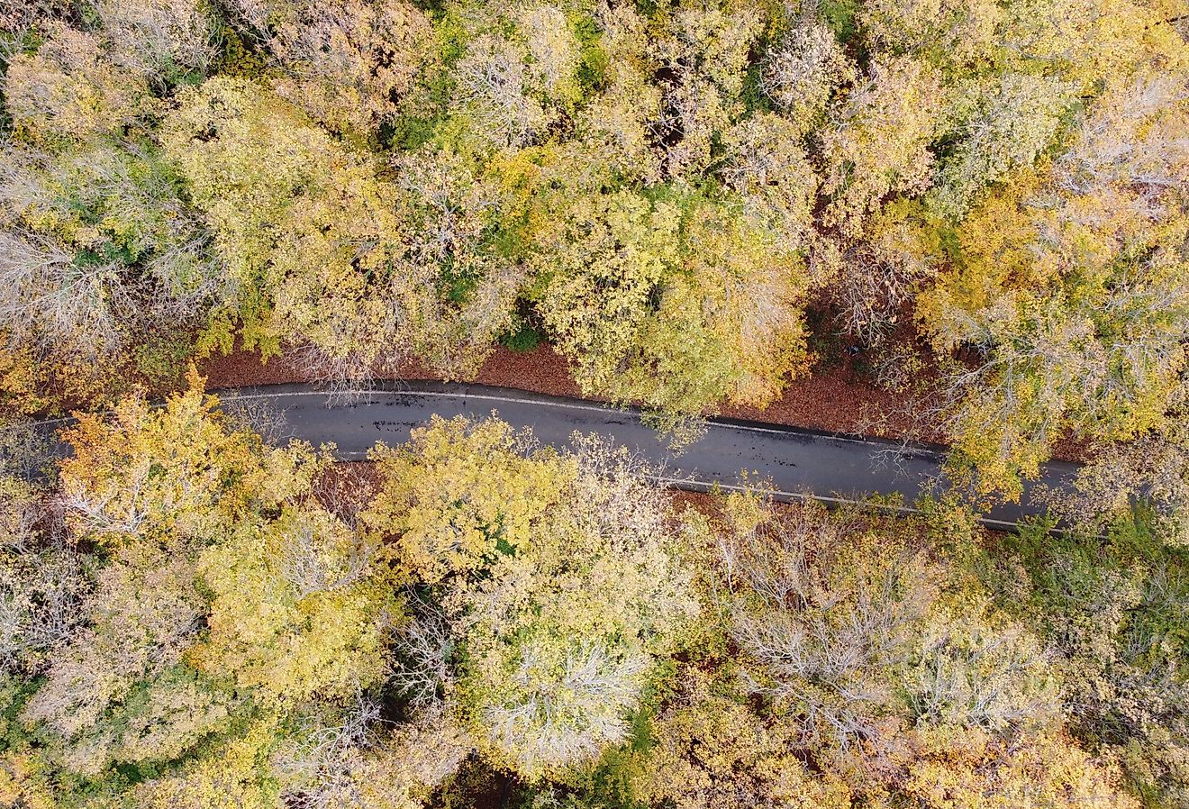 Ku Fall The 7 Least-Crowded Towns In Kansas To Catch Fall Foliage