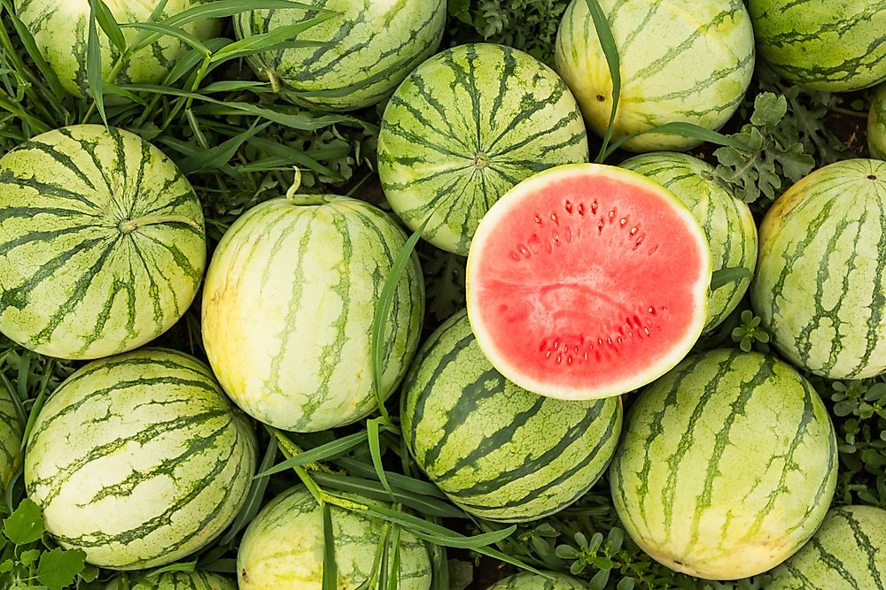 Top Watermelon Producing Countries In The World WorldAtlas