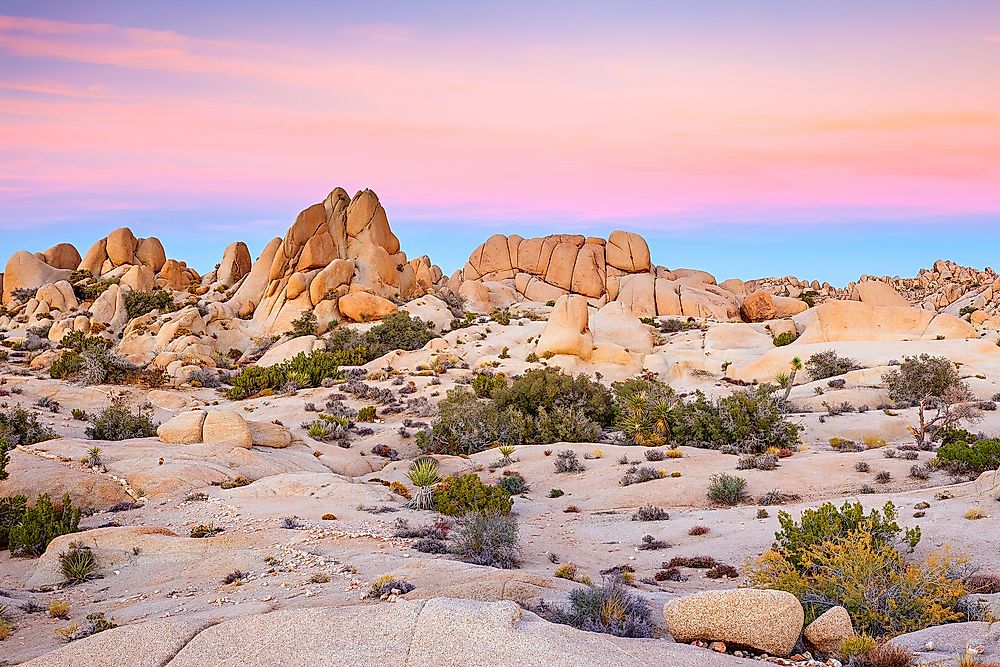 us desert tours