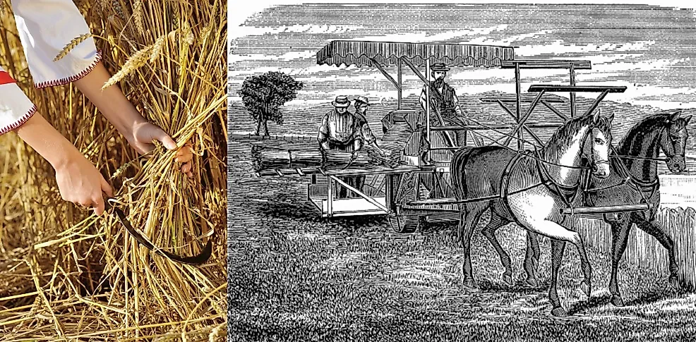 Did The British Agricultural Revolution Lead To The Industrial