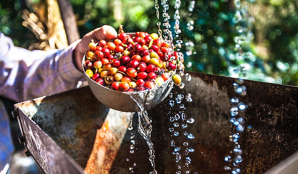 What Is Coffee Wastewater? WorldAtlas