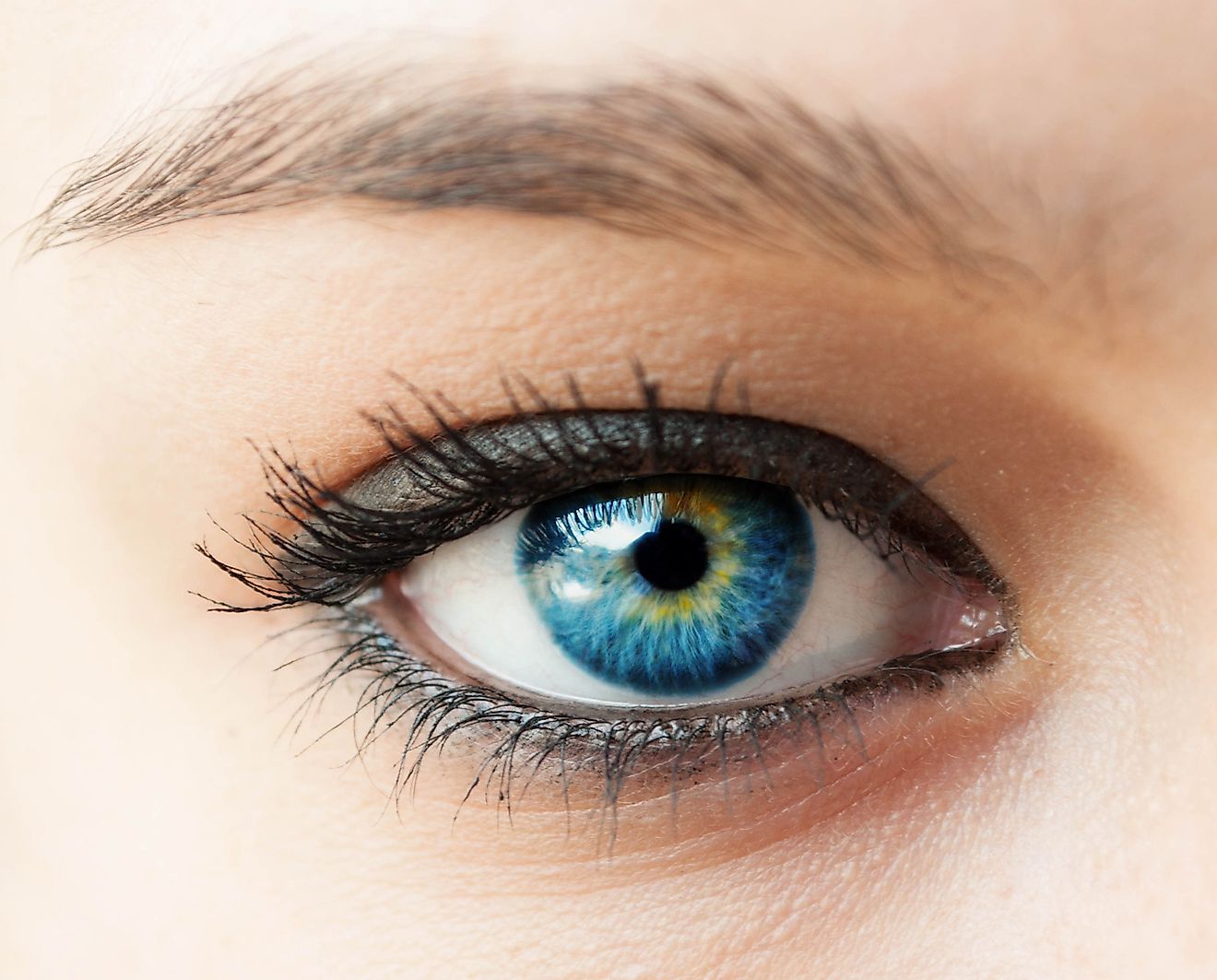 human eyeballs human eyeballs