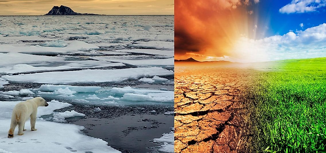 How Is Climate Change Affecting The Earths Different Ecosystems