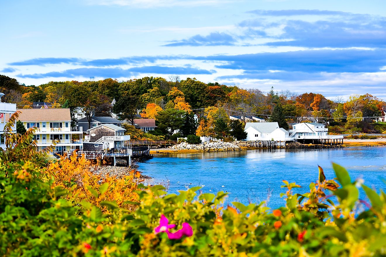 Overlooking the water in Ogunquit, Maine.