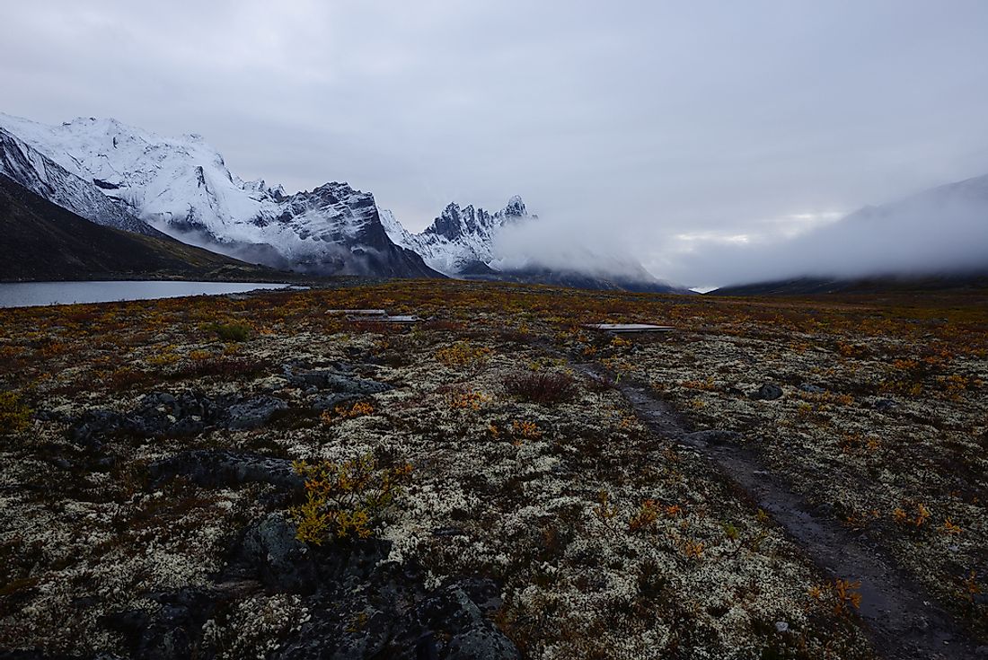 Not all of Canada's landscapes are habitable by mammalian life. 