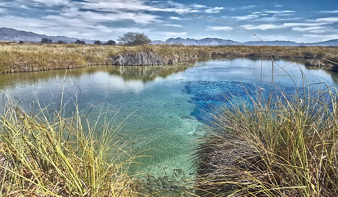 Poza Azul wetland in Cuatro Ciénegas, Mexico.
