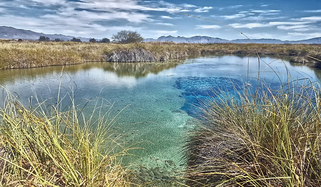 Poza Azul wetland in Cuatro Ciénegas, Mexico.