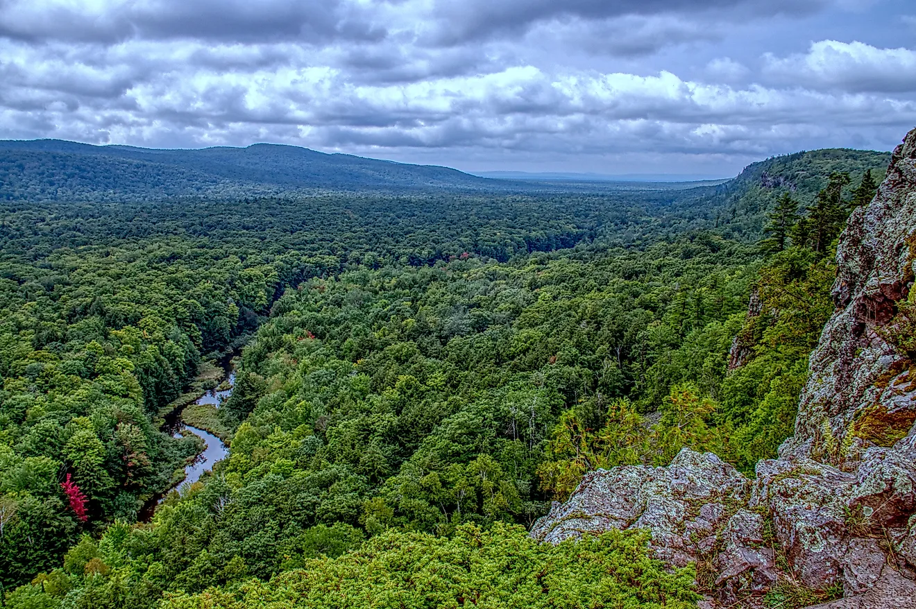 The dense wilderness of the Porcupine Mountains Wilderness State Park.