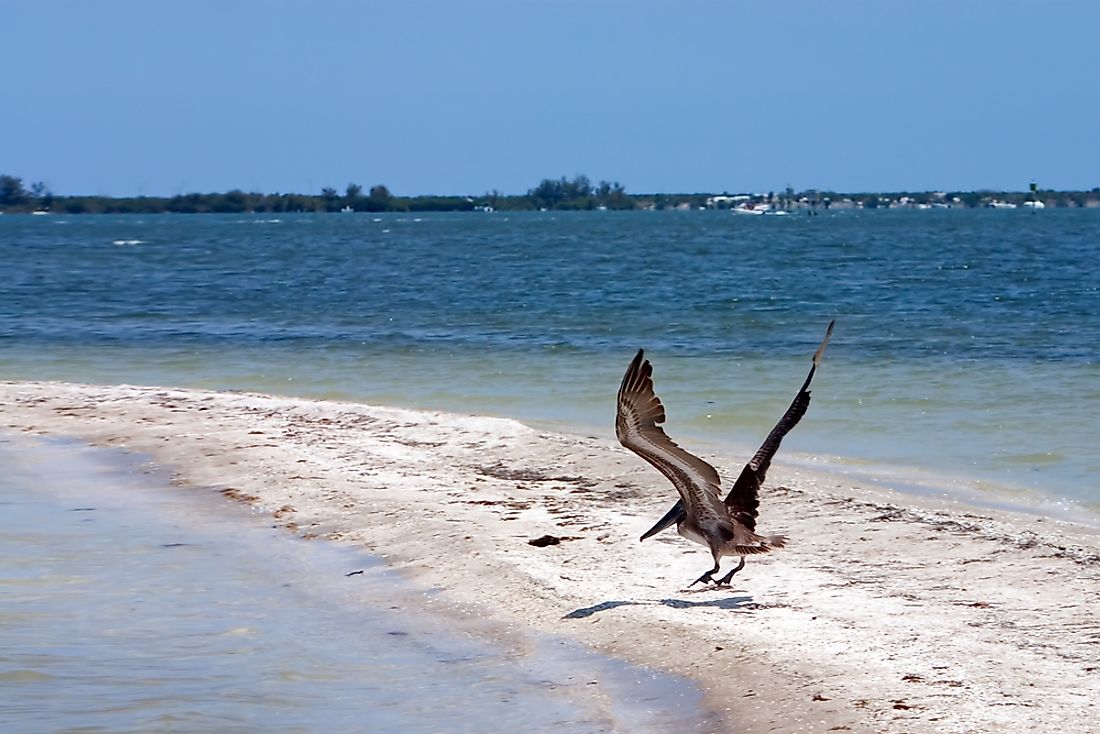 The Indian River Lagoon in Florida is in a humid sub tropical climate environment, and is the most biologically varied estuary in North America.