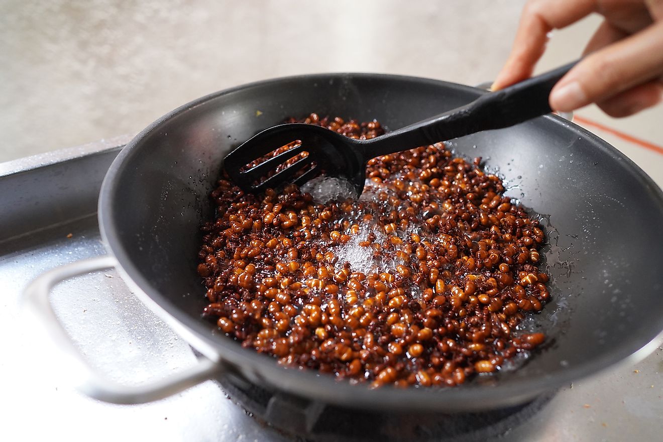 Ants cooked in a Thai home. Image credit: Youyuenyong budsawongkod/Shutterstock.com