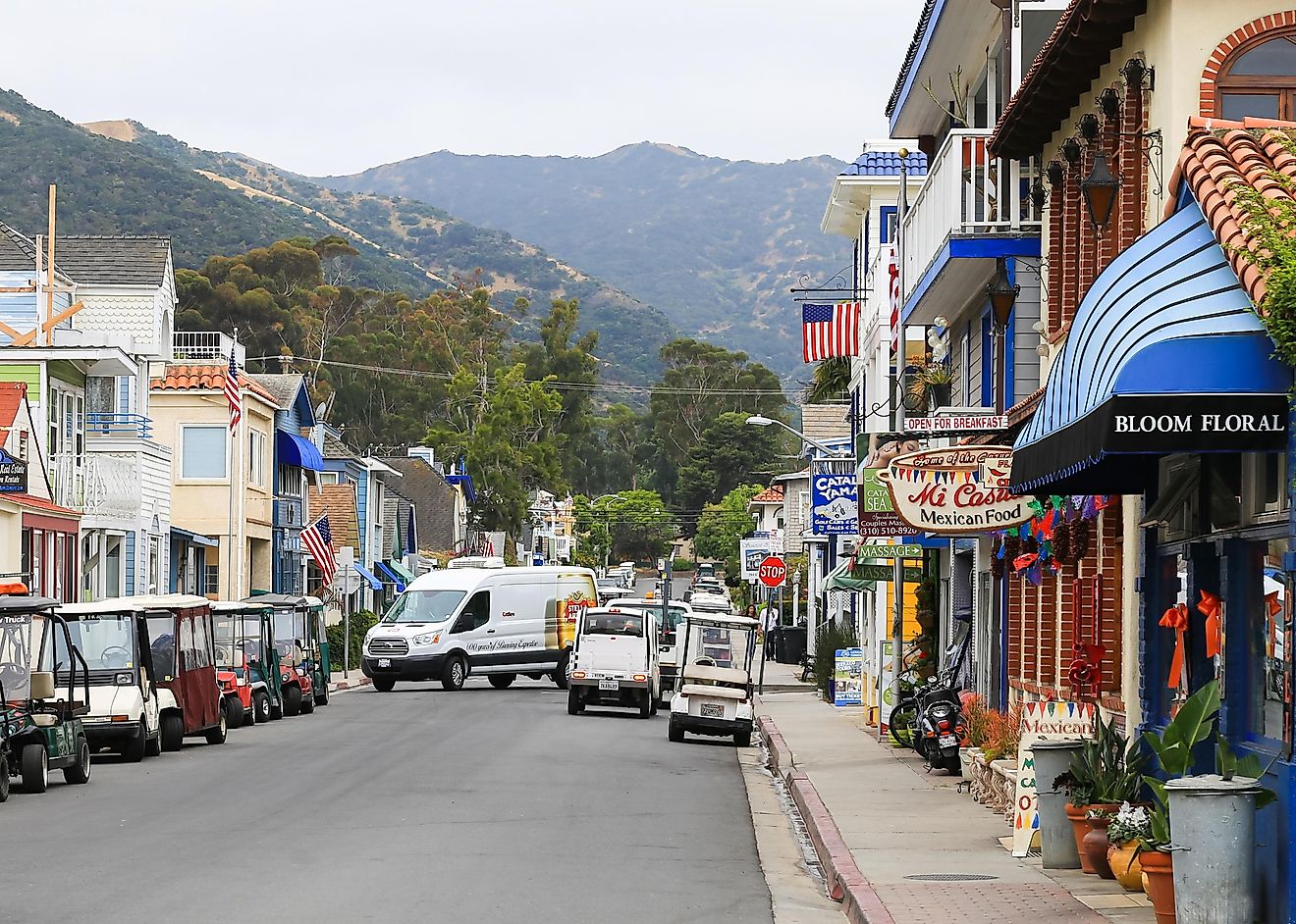 beautiful street view in Avalon, California